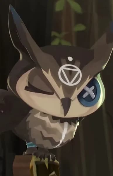 Owl