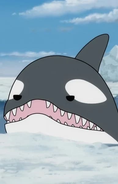 Killer Whale A