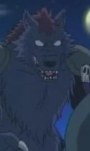 Rogelu, Garo