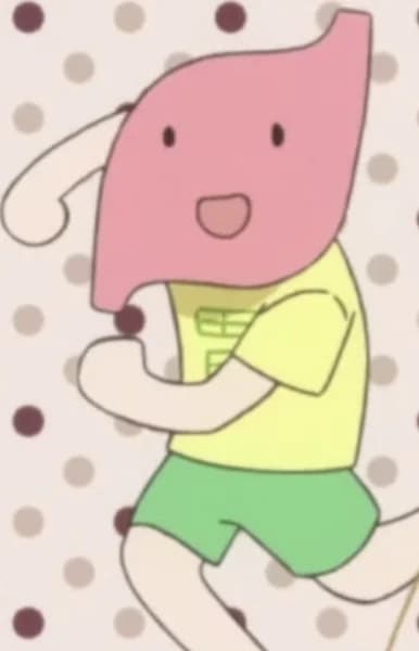 Stomach