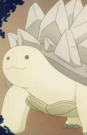 Stony Turtle