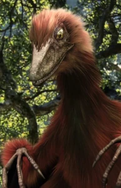 Microraptor