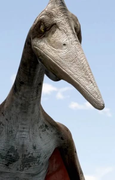 Haenamichnus
