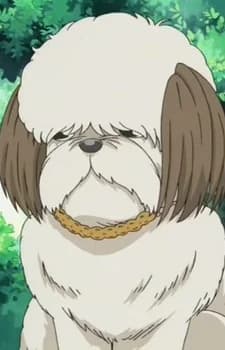 Noda, Chocola