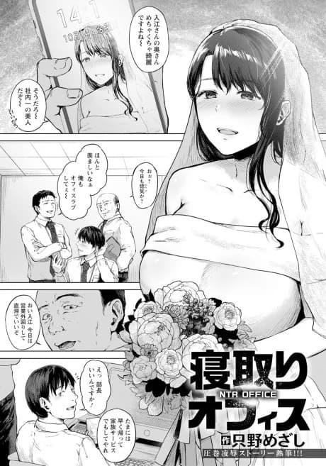 Netori Office